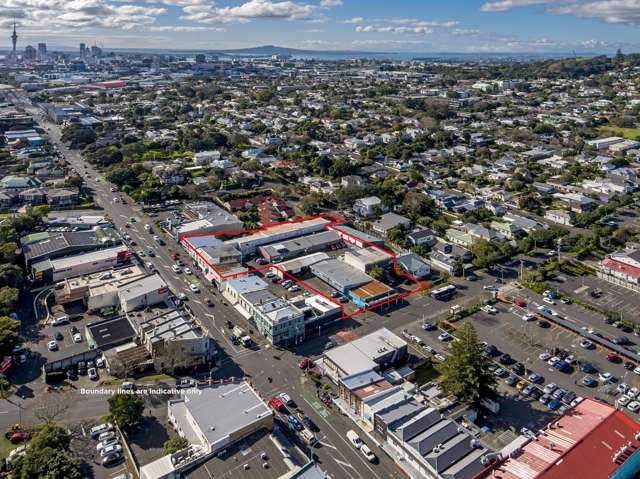 Multiple development options in Mt Eden