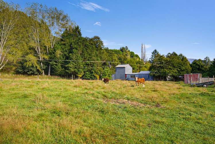 172 Thorpe-Orinoco Road Ngatimoti_28