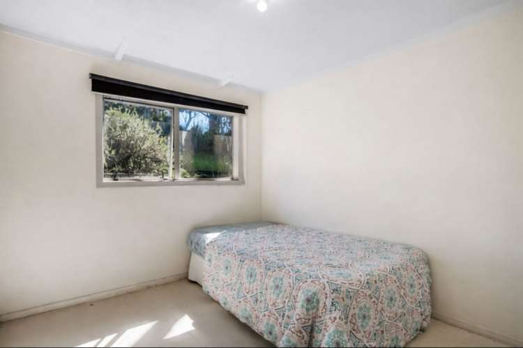 2856 South Head Road South Head Helensville_13