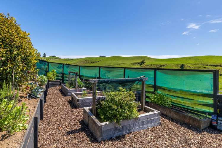 79 Dorset Road Hillsborough_27