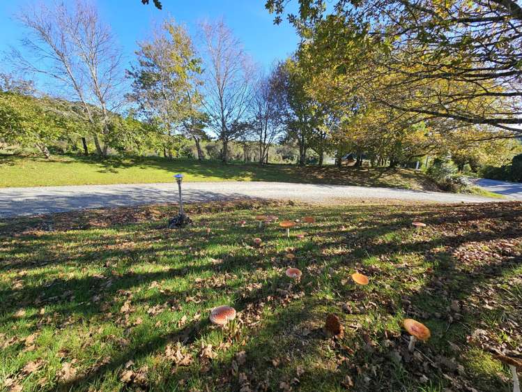 374 Rutherglen Road Marsden_6