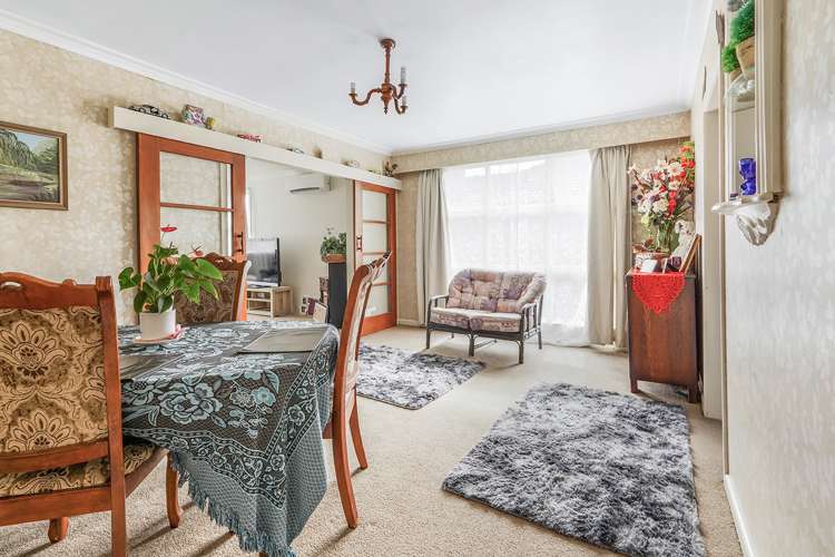 28 Young Street Claudelands_4