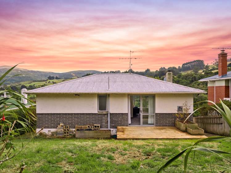 446 Pine Hill Road Pine Hill_19