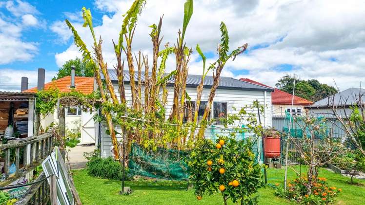 209 Fenton Street Thames_21