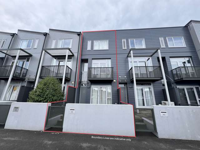 60 Ronayne Street Parnell_1