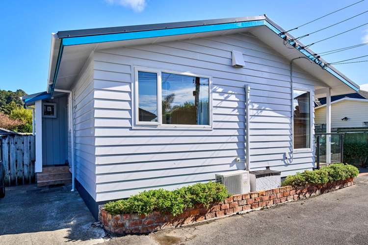 39a Pukatea Street Eastbourne_15