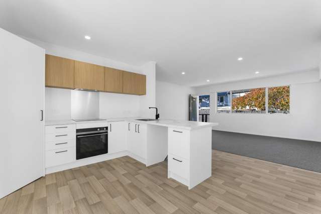 110A Hinewa Road Otumoetai_1