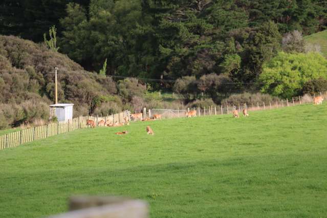 165 Albert Road Tokomaru_2