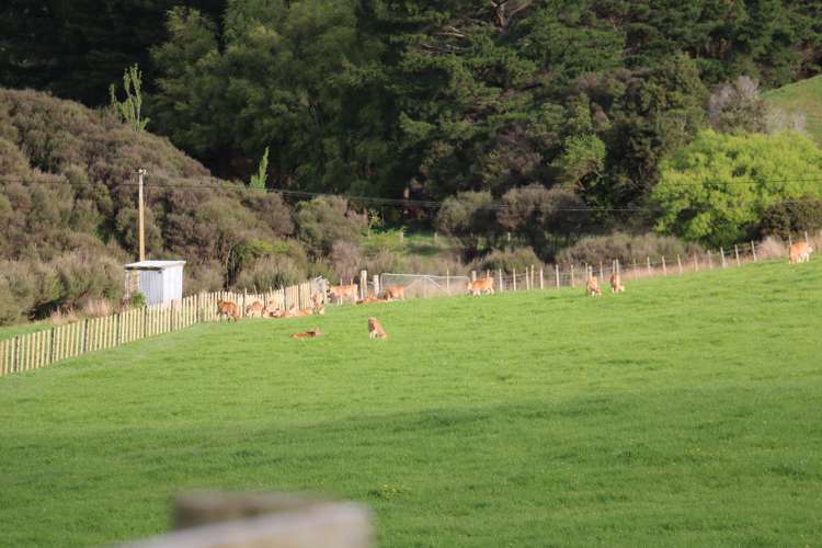 165 Albert Road Tokomaru_2