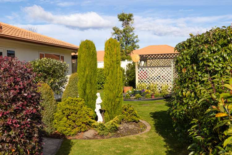 8 Dules Walk Taradale_20