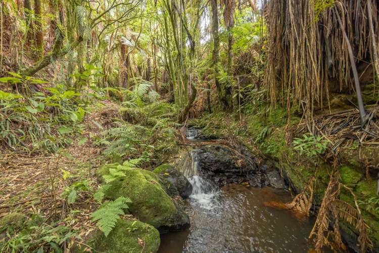 88 Scott Rd Te Awamutu_34