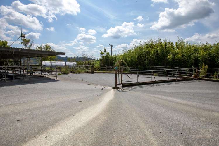 95 Mason Road Whangarei Surrounds_18