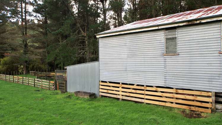 4501 State Highway 4 Waimiha-Ongarue_10