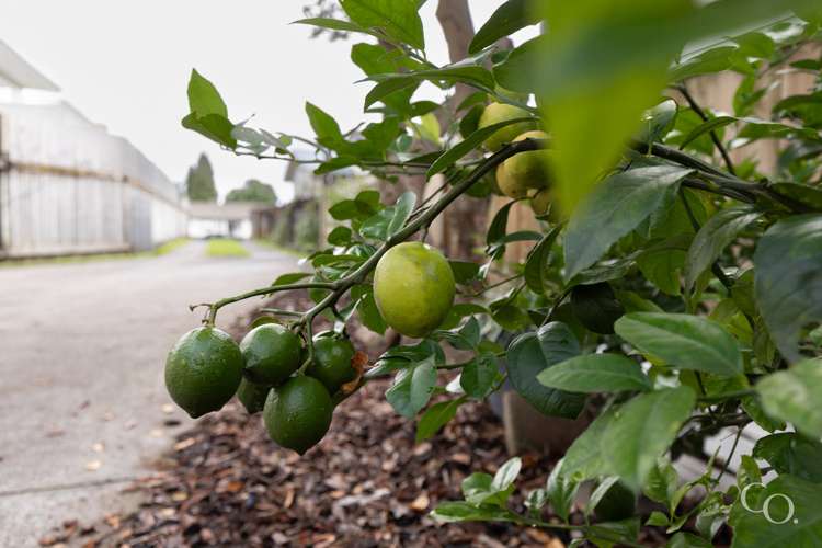 34a Ohauiti Road Hairini_21