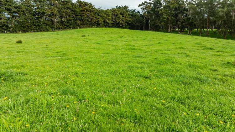 1241 Blythe Road Domett_27