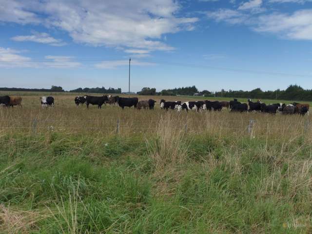 472 Factory Road Winchester_2