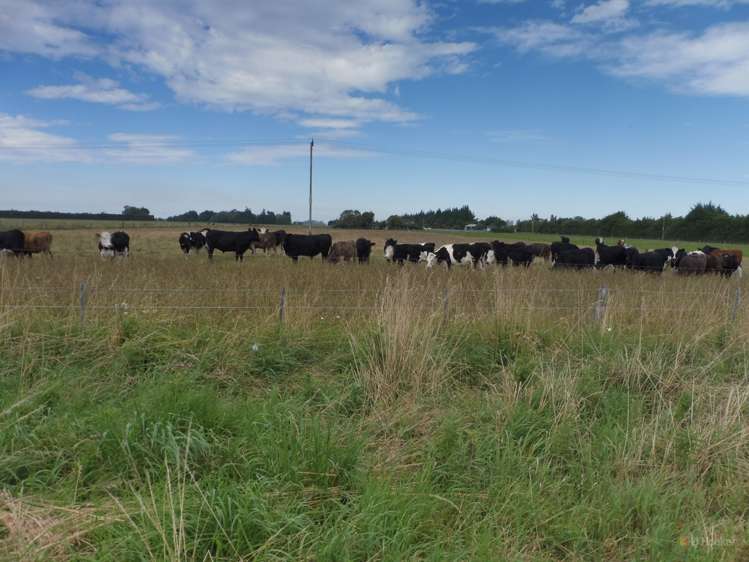 472 Factory Road Winchester_2