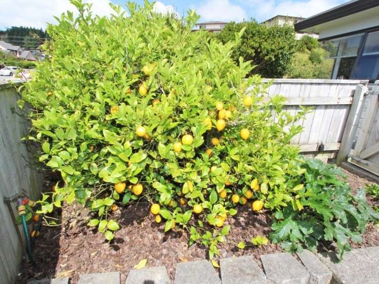 40 Navigation Drive Whitby_23