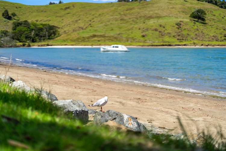 89 Clinton Road Tawharanui Peninsula_29