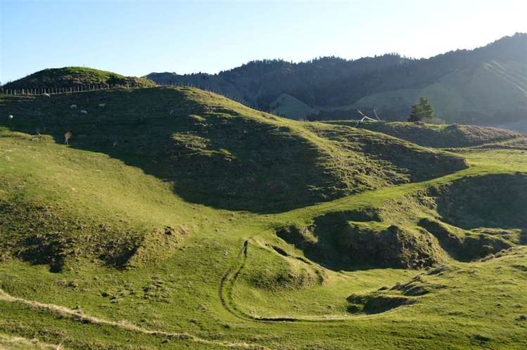 716 Ongarue Back Road Taumarunui_36