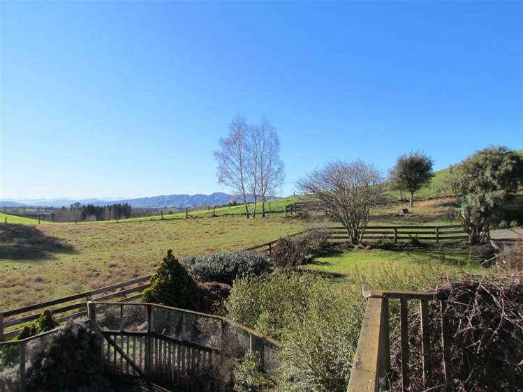 164 Ward Road Cheviot_3