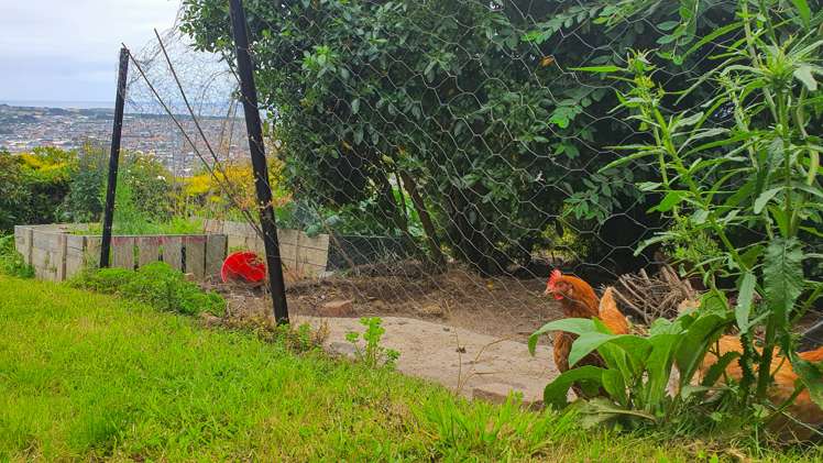 139 Forfar Street Clyde Hill_16