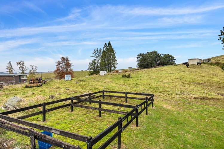 995 Berwick Road Berwick Forest_18