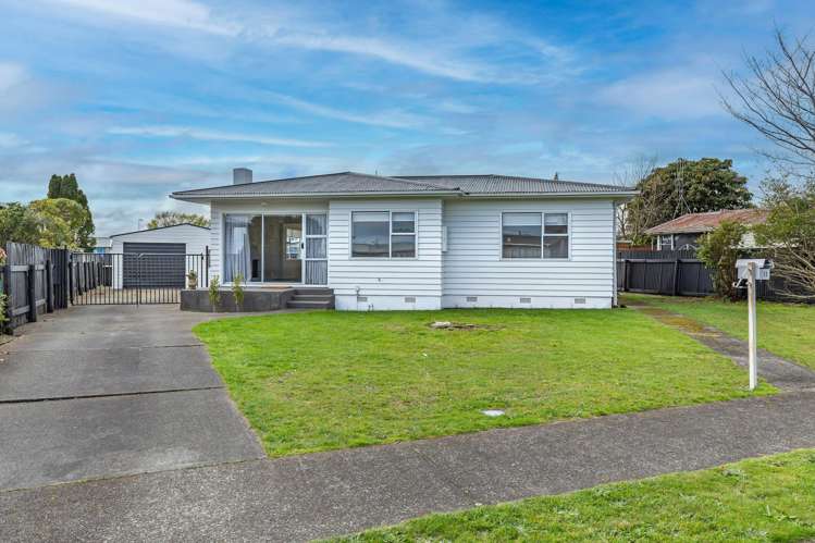 15 Ross Street Levin_13