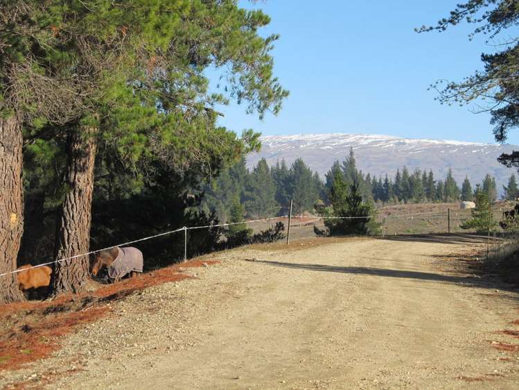 165 Letts Gully Road Alexandra_2