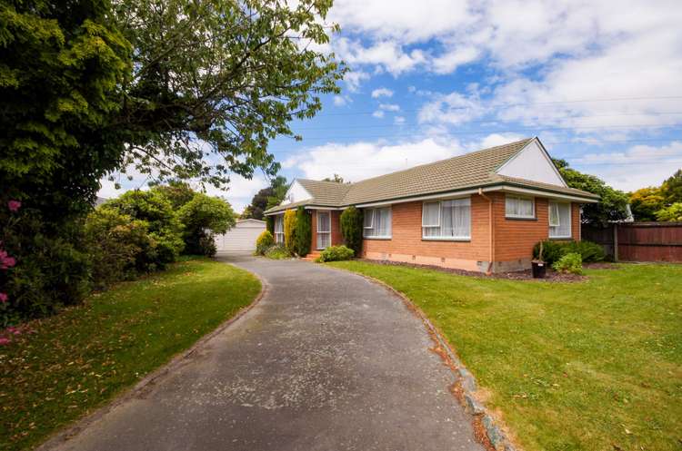 50 Denise Crescent Hornby_8