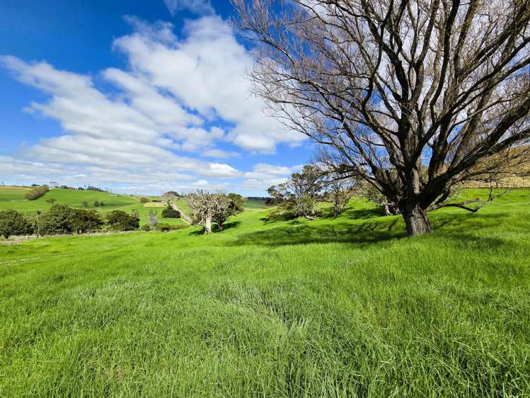 Morrison Road Dargaville_5