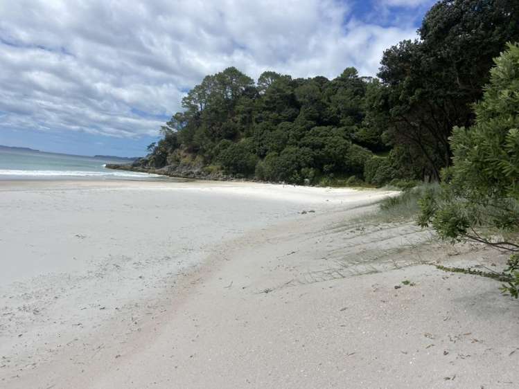 224B Tangiora Avenue Whangapoua_21