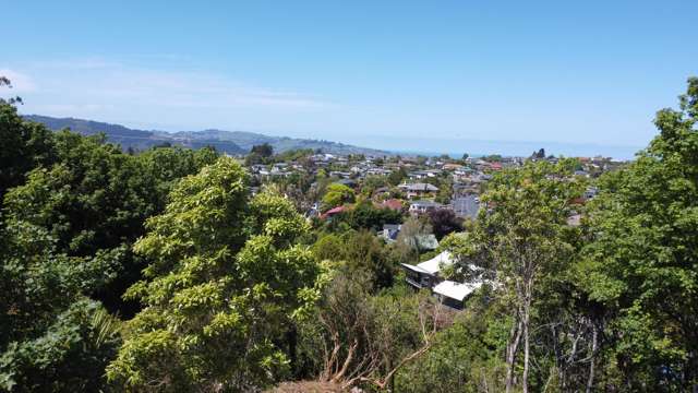 180 Wakari Road Helensburgh_2