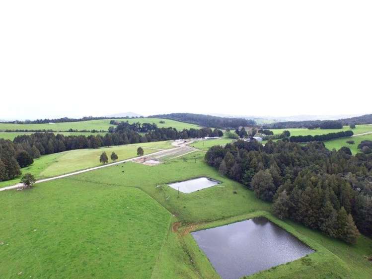 684 Trounson Park Road Dargaville Surrounds_4