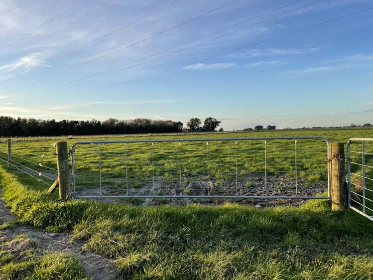 1228 Camerons Line Feilding_5