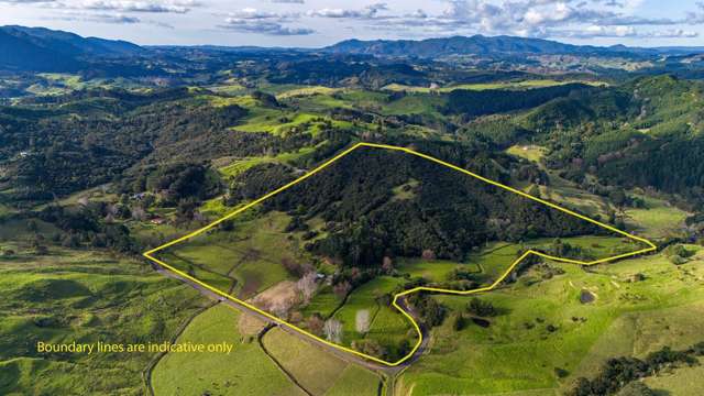 Lifestyle Opportunity Close to Kaitaia