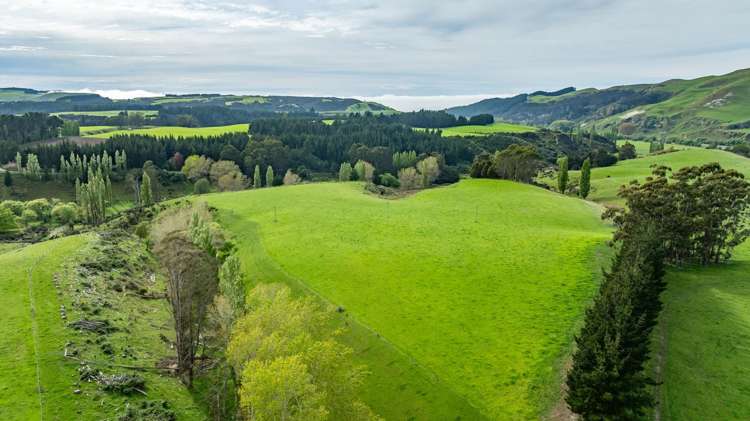 1241 Blythe Road Domett_26