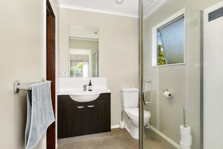 8 Radiata Grove Brown Owl_7