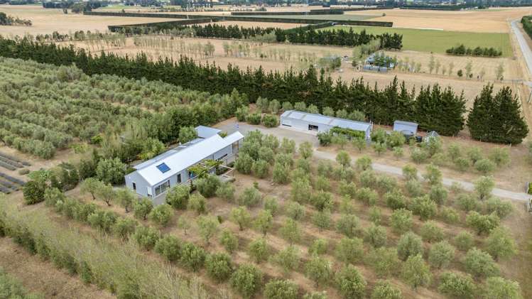 179 Racecourse Road Amberley_25