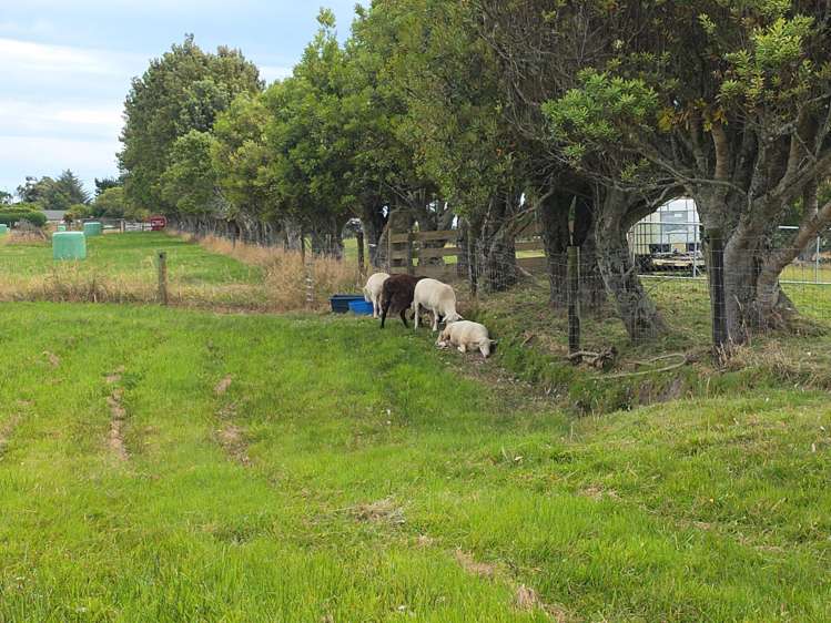 125 Golf Links Road Ruatapu_7