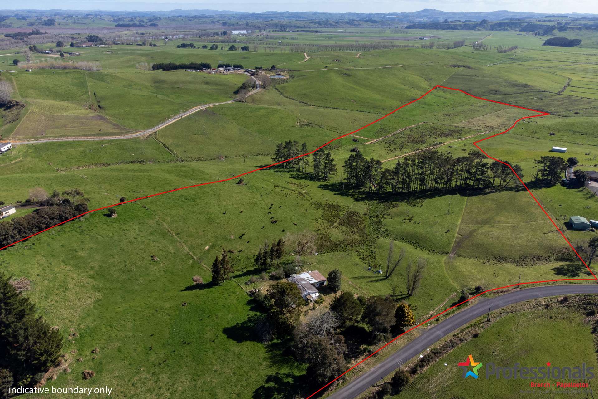 246 Plantation Road Rangiriri_0