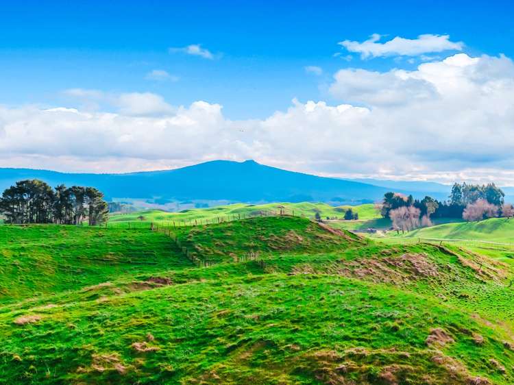 473 Otake Road Marotiri_18