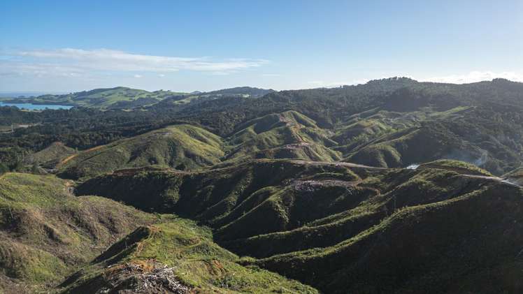 982B Manaia Road Coromandel_24