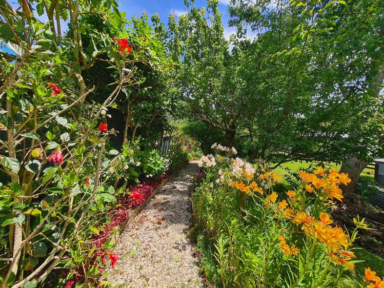 1225 Rings Road Coromandel_14