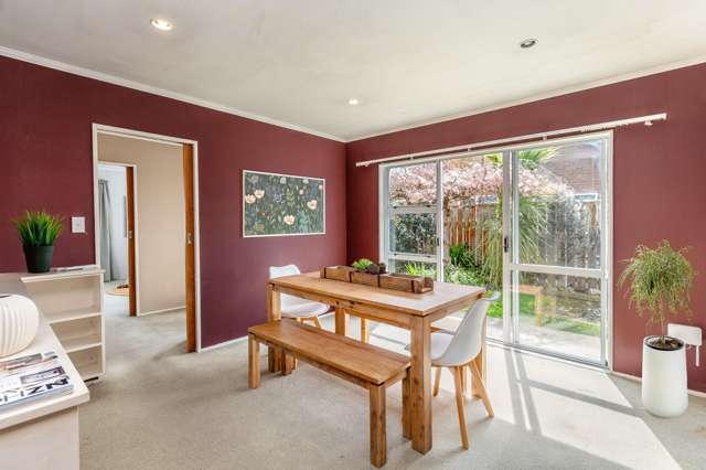 41b Cole Street Masterton_4