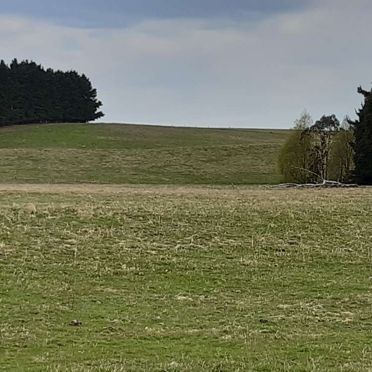 Bluff Hill Road Waianakarua_7