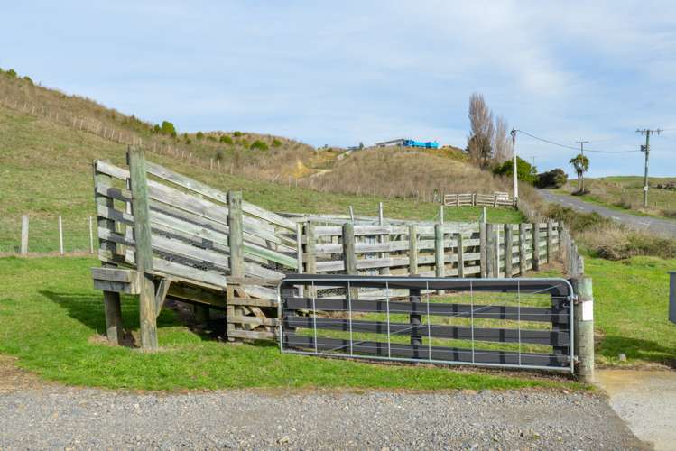 1275 Maraetotara Road Central Hawkes Bay Coastal_25