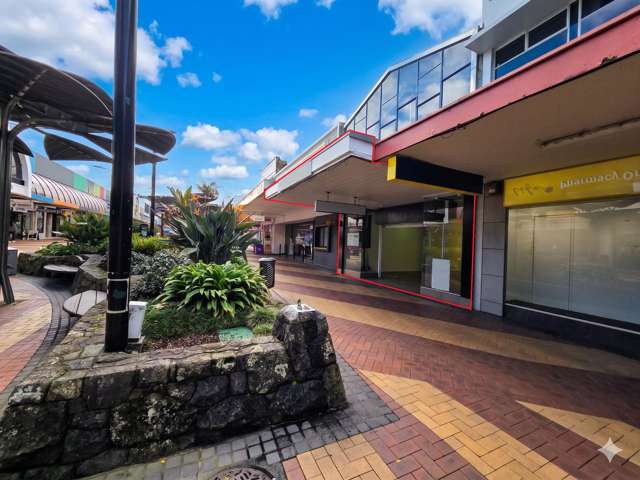 36 Cameron Street Whangarei_2