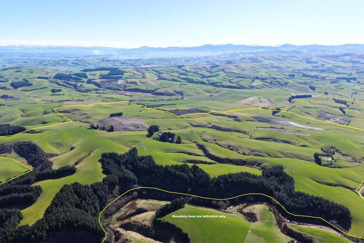 565 Bushy Park Road Waikaka_21