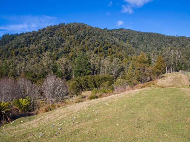 55 Maungatapu Road Rai Valley_18